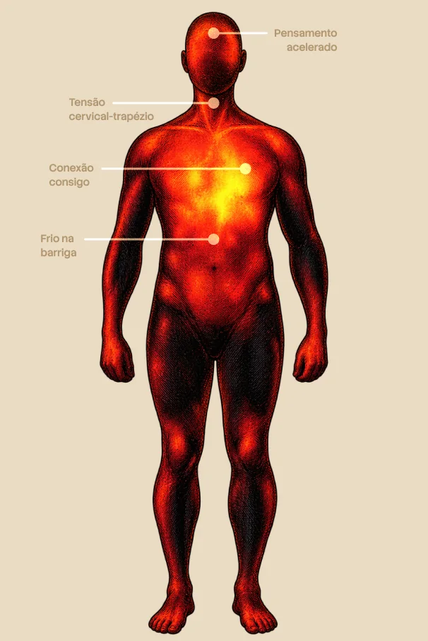 Ilustração anatômica de um corpo com pontos de calor e linhas indicando pensamento acelerado, tensão cervical, conexão consigo e frio na barriga