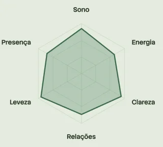 Gráfico radar mostrando as seis áreas da vida (sono, energia, clareza, relações, leveza, presença) expandidas quando o corpo está regulado